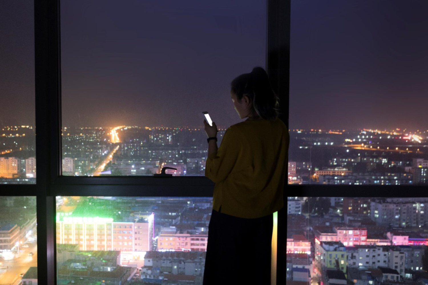 panorama domesticview