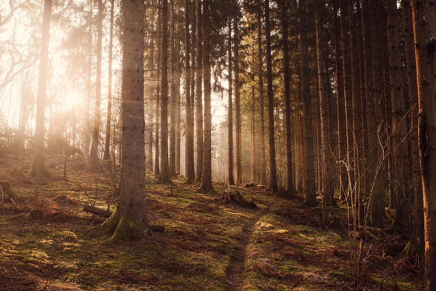Españoles y cambio climático