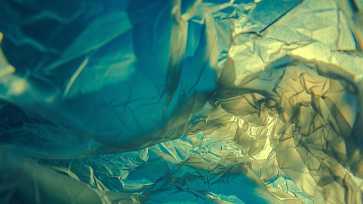 TurtlWhatthefrenchchapter