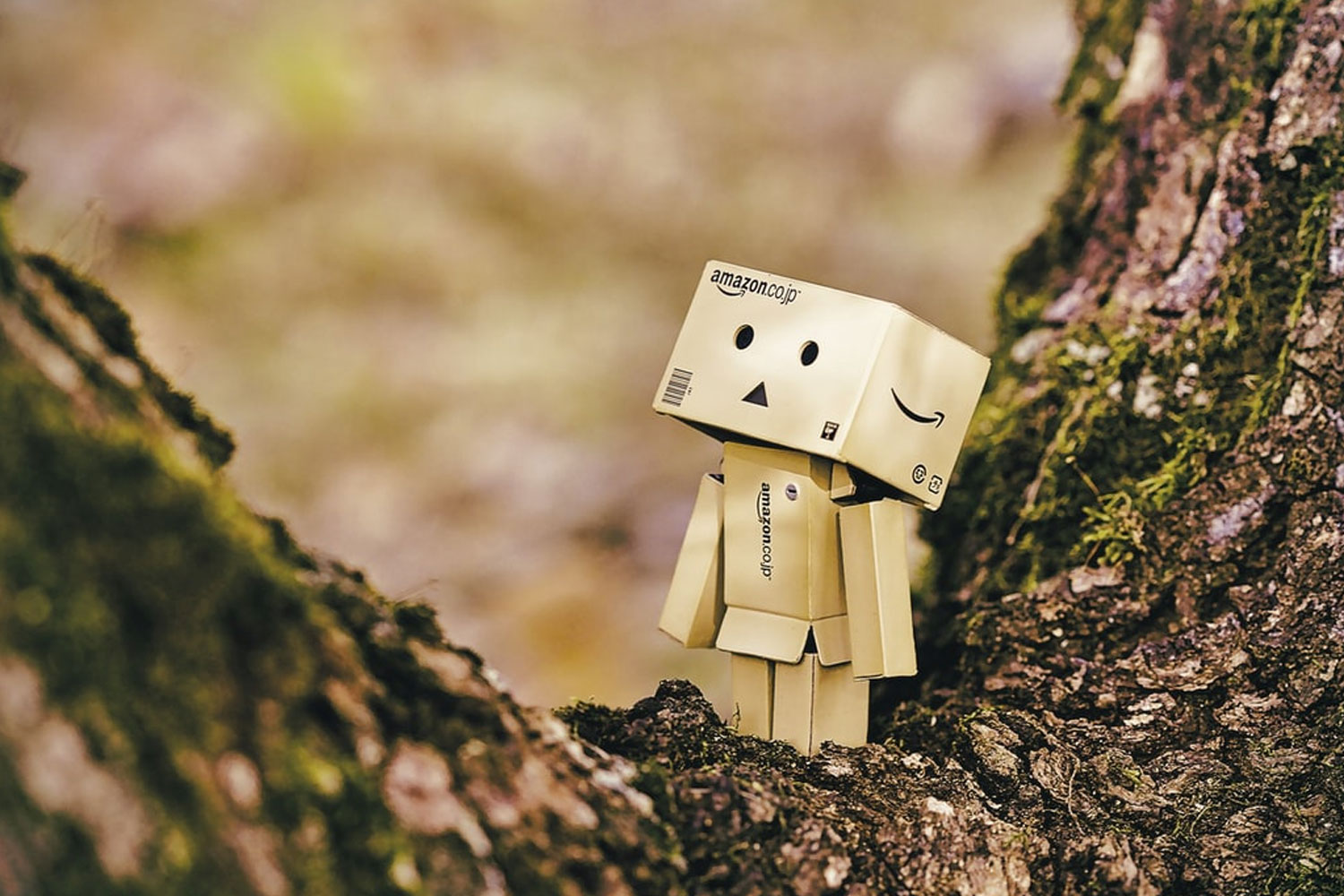 Logo Amazon voor blog NIels Berndsen