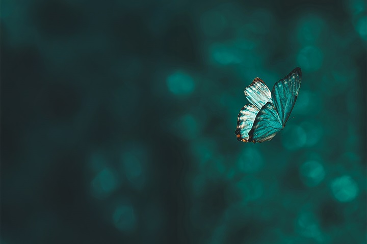 Conference: How sustainable marketing will unlock value in 2025