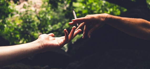 Marijuana advertising market begins to grow