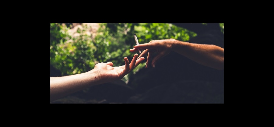 Marijuana advertising market begins to grow