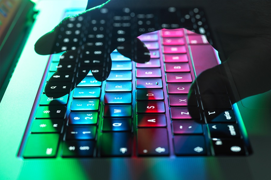 panel fraud