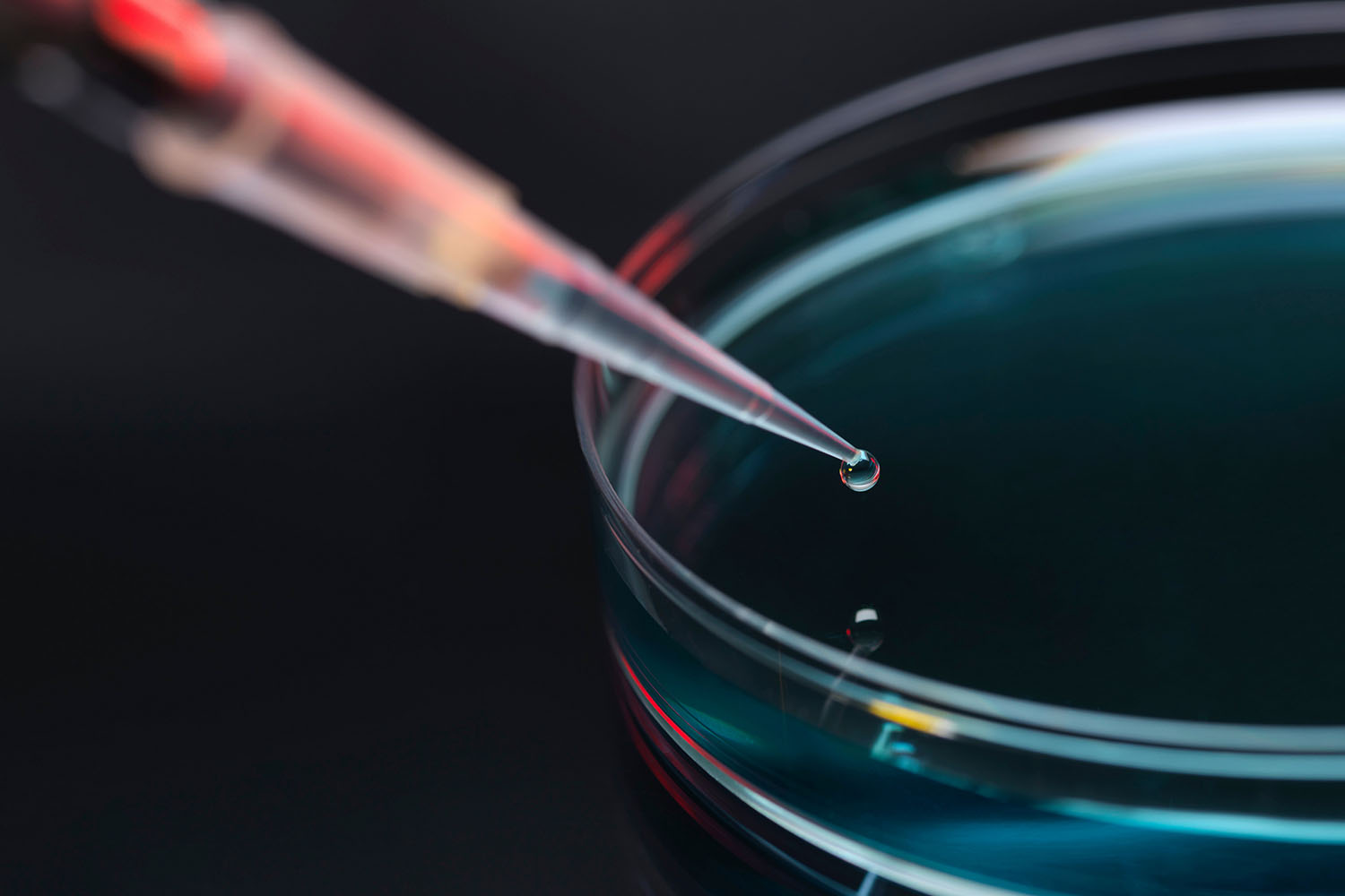 Test tube dipping into petri dish